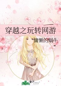 《穿越之玩转网游》
