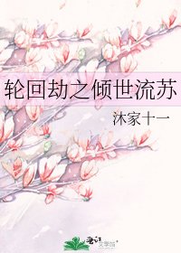 《轮回劫之倾世流苏》