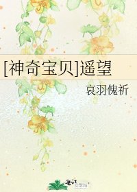 [神奇宝贝]遥望