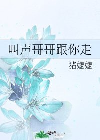 《叫声哥哥跟你走》