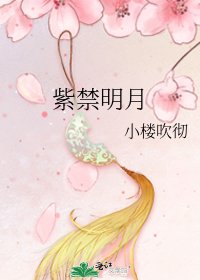 紫禁明月