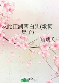 《从此江湖两白头(歌词集子)》