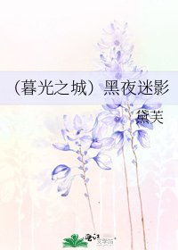 《(暮光之城)黑夜迷影》