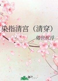 《染指清宫(清穿)》