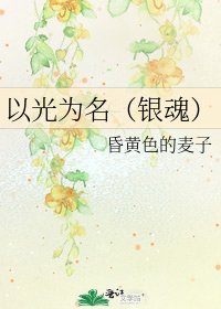 以光为名（银魂）