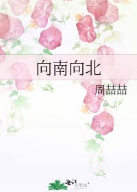《向南向北》