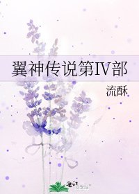 《翼神传说第Ⅳ部》