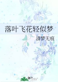 《落叶飞花轻似梦》