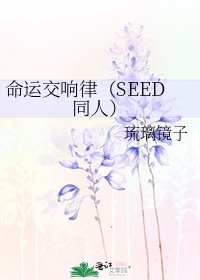 《命运交响律(SEED同人)》