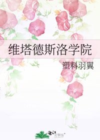 维塔德斯洛学院