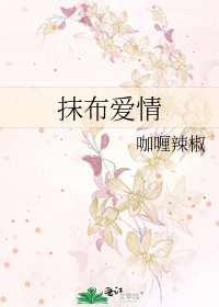 《抹布爱情》