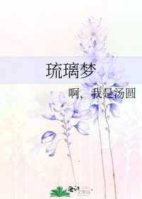 《琉璃梦》