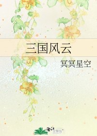 《三国风云》