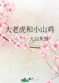 《大老虎和小山鸡》