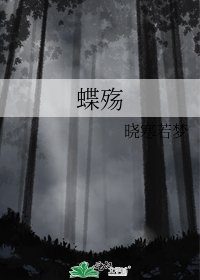 《蝶殇》