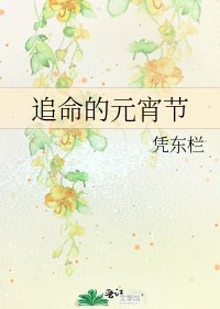 《追命的元宵节》