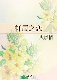 《轩辰之恋》