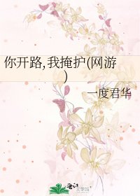 《你开路,我掩护(网游)》