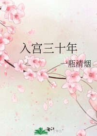 《入宫三十年》