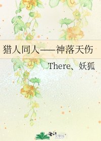 《猎人同人——神落天伤》