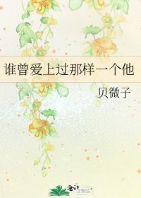 《谁曾爱上过那样一个他》