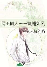 《网王同人--飘翎如风》