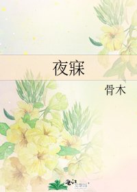 夜寐