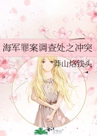 《海军罪案调查处之冲突》