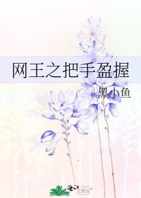 《网王之把手盈握》