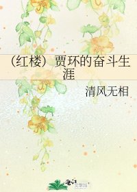 《(红楼)贾环的奋斗生涯》