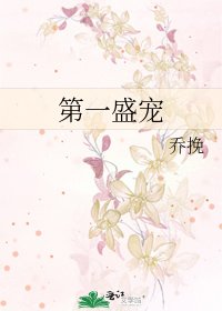 《第一盛宠》