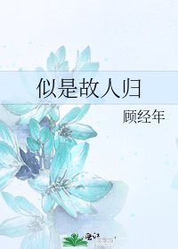 《似是故人归》