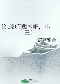 [综琼瑶]颤抖吧，小三！