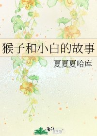 《猴子和小白的故事》