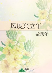 《风度兴立年》