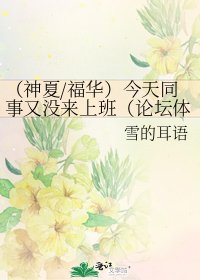 《(神夏/福华)今天同事又没来上班(论坛体)》