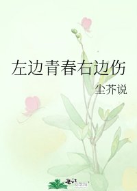 《左边青春右边伤》