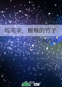 《综英美,蜘蛛的竹子》