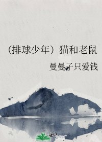 《(排球少年)猫和老鼠》