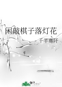 《闲敲棋子落灯花》