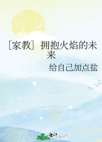 《(家庭教师同人)拥抱火焰的未来》