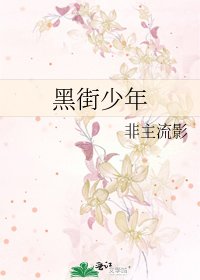 黑街少年