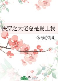 《快穿之大佬总是爱上我》
