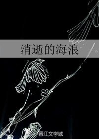 《消逝的海浪》