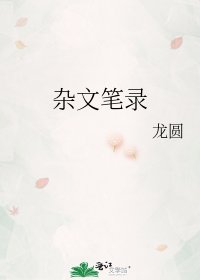 杂文笔录