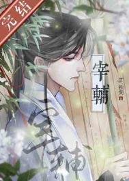 《宰辅》