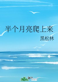 《半个月亮爬上来》