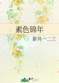 《素色锦年》