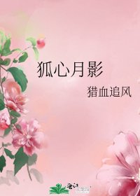 《狐心月影》