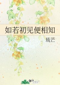 《如若初见便相知》